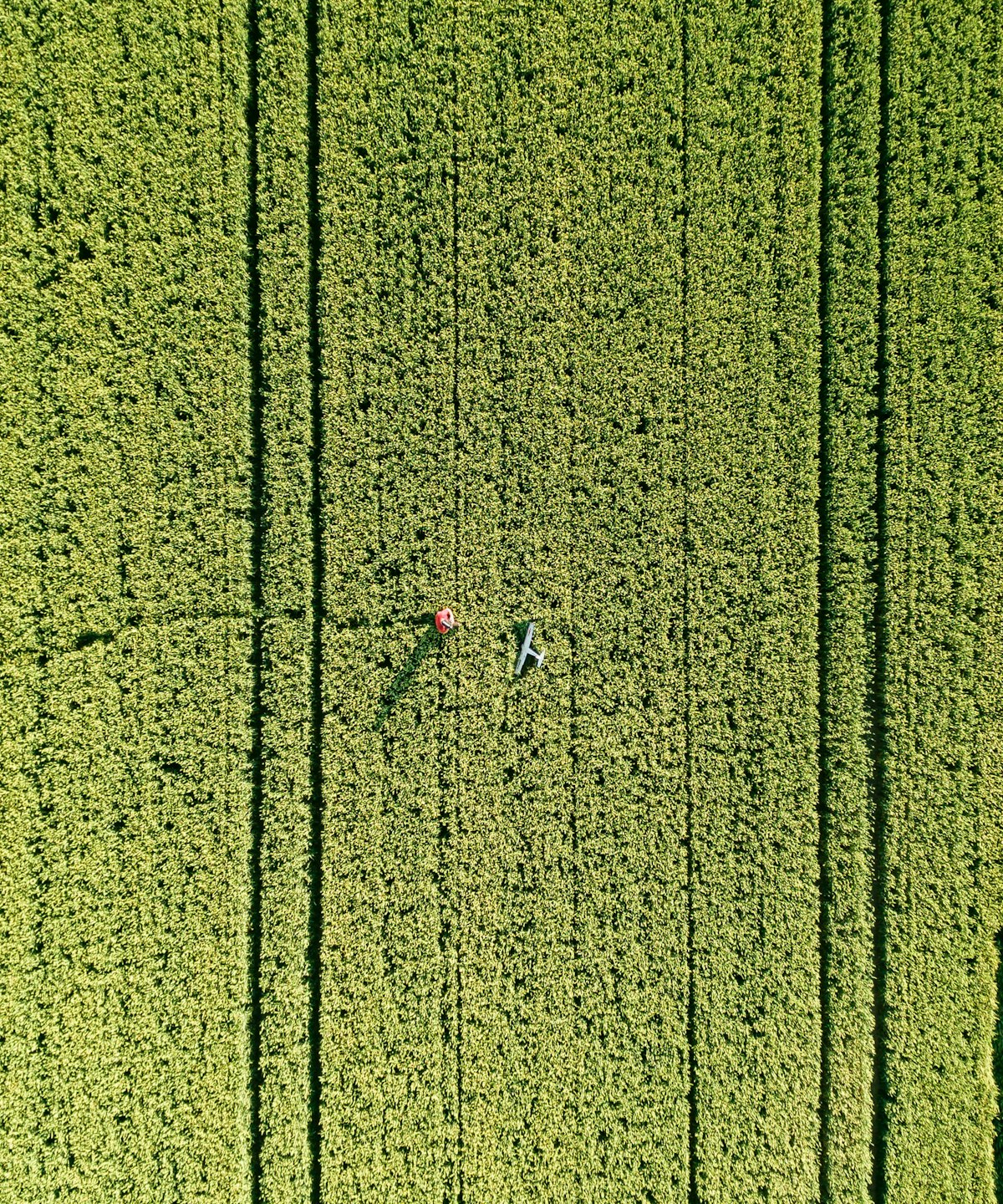 Luftaufnahme landwirtschaftlicher Flächen im Münsterland